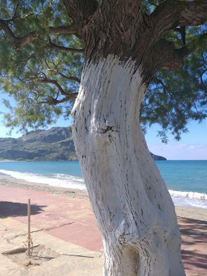 Greek Blue Apartment 플라키아스 외부 사진